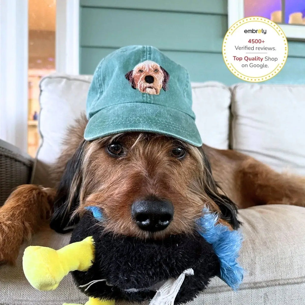 Personalized Pet Dyed Hat with Embroidered Photo
