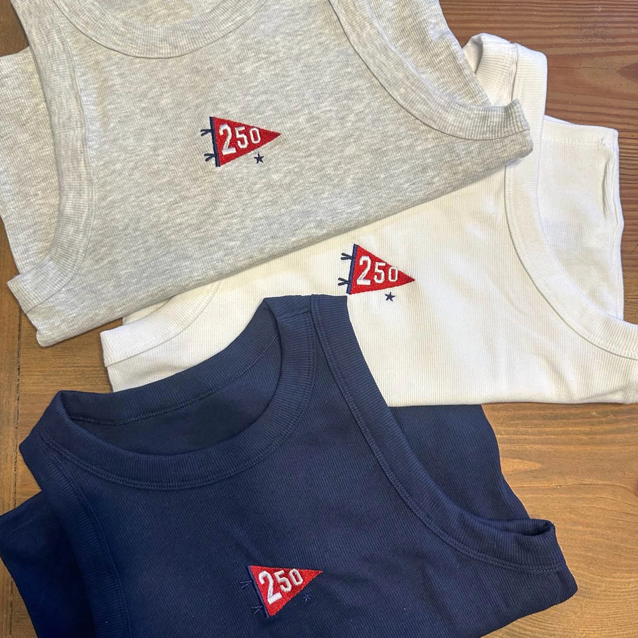 America 250 Pennant Embroidered Tank Top